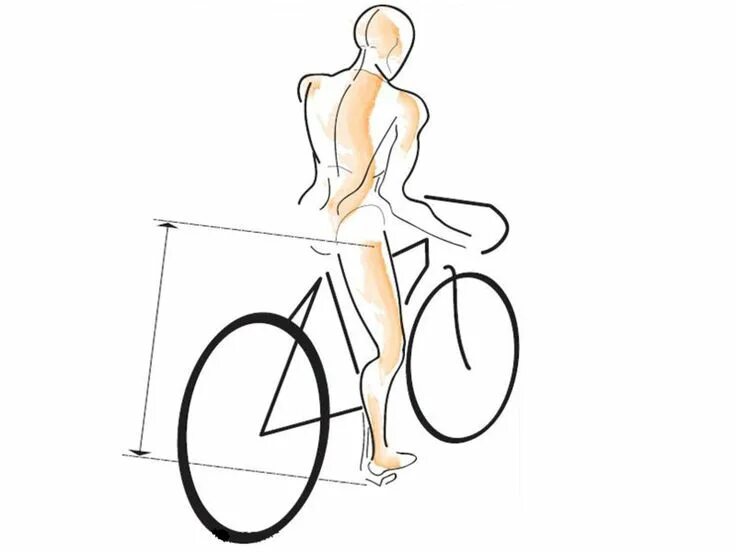 Катание на велосипеде какие мышцы. Референс седло велосипед. Высота седла на велосипеде. Правильная посадка на велосипеде. Высота сиденья велосипеда.