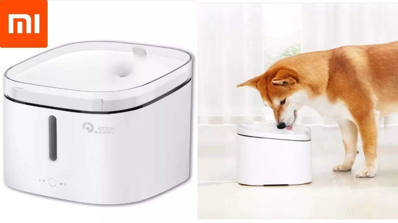 Автопоилка Xiaomi Petoneer Smart Pet Water Dispenser. Поилка Сяоми для кошек. Умная поилка для животных Xiaomi Kitten&Puppy Water Dispenser. Xiaomi Smart Pet Fountain. Xiaomi pet fountain