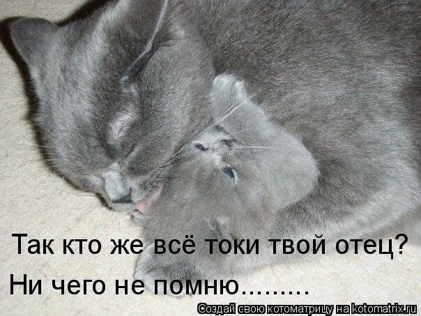 спать не пора. котик хватит спать. открытки хватит спать прикольные. кот спит с хозяйкой. подъем доброе утро.