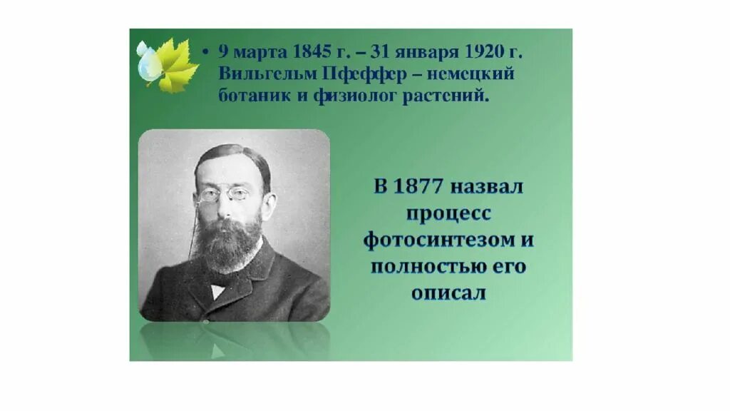 Ученые ботаники и их открытия. Русские ботаники ученые. Знаменитые ученые ботаники. Великий ботаник