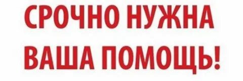Мы поможем вам начать с