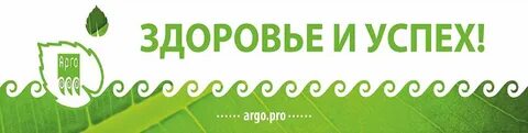 Здоровья дико