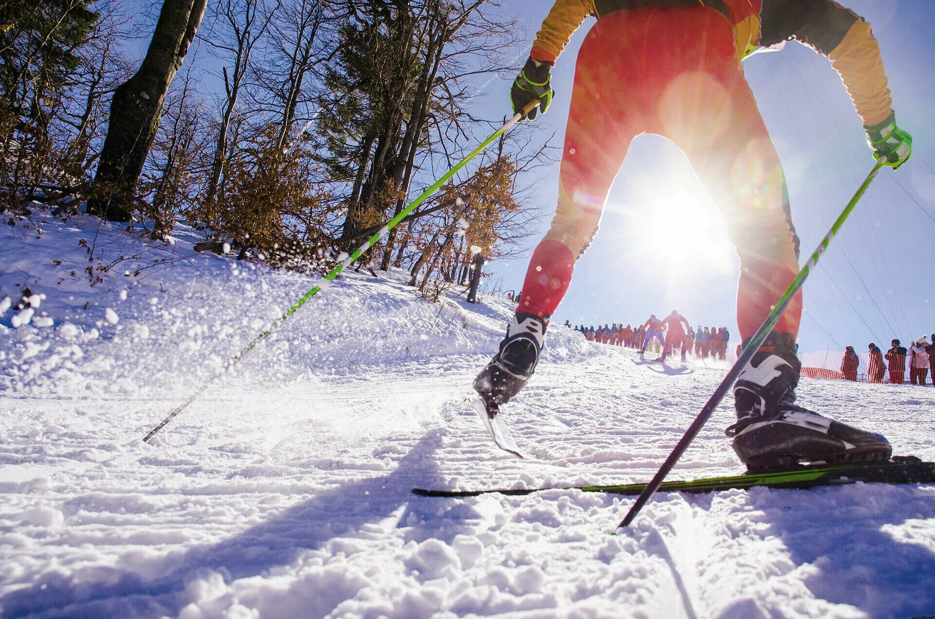 We like skiing. Спортивные лыжи. Лыжи на лыжне. Беговые лыжи на снегу. Ноги лыжника.