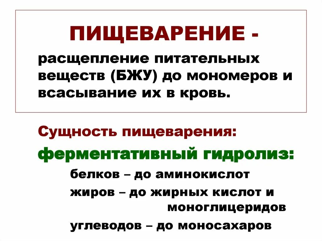 Процесс пищеварения значение. Пищеварение, его сущность и значение.. Пищеварение значение пищеварения. Пищеварение расщепление веществ. Сущность и значение пищеварения физиология.