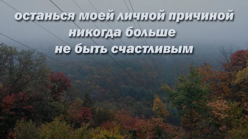 Поднимались почему ни. Останься хотя бы моей личной причиной. На стенах порваны фото значит значило что-то. На стенах порваны фото значит значило что-то важное. Картинки на стенах порваны фото значит значило что-то важное.