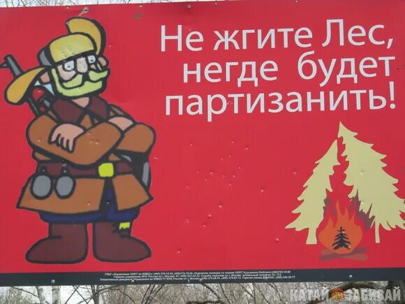 Берегите лес негде будет партизанить. Берегите лес партизанить. Негде будет партизанить. Берегите лес партизанить. Берегите лес партизанить.