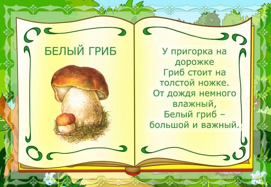 Стихи про грибы. Детские стихи про грибы. Стих про грибы для детей. Стишки про грибы.