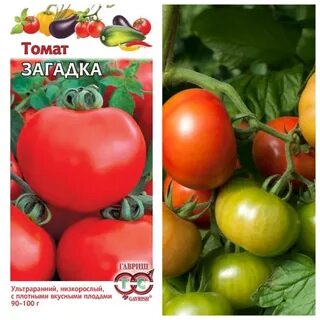 Томаты загадка природы характеристика