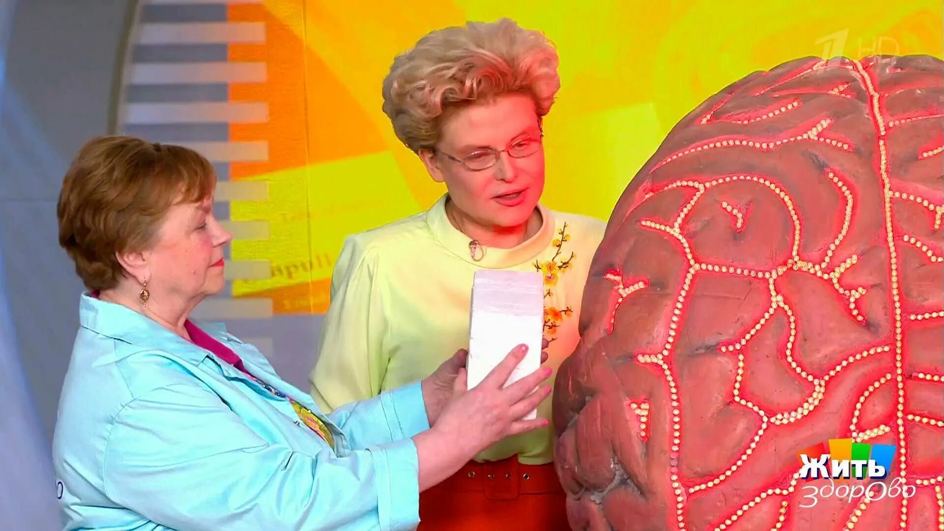 Малышева елена жить здорово выпуск. Малышева 1 канал. Малышева 1 канал. Елена малышева 2023. Жить здорово 2022.