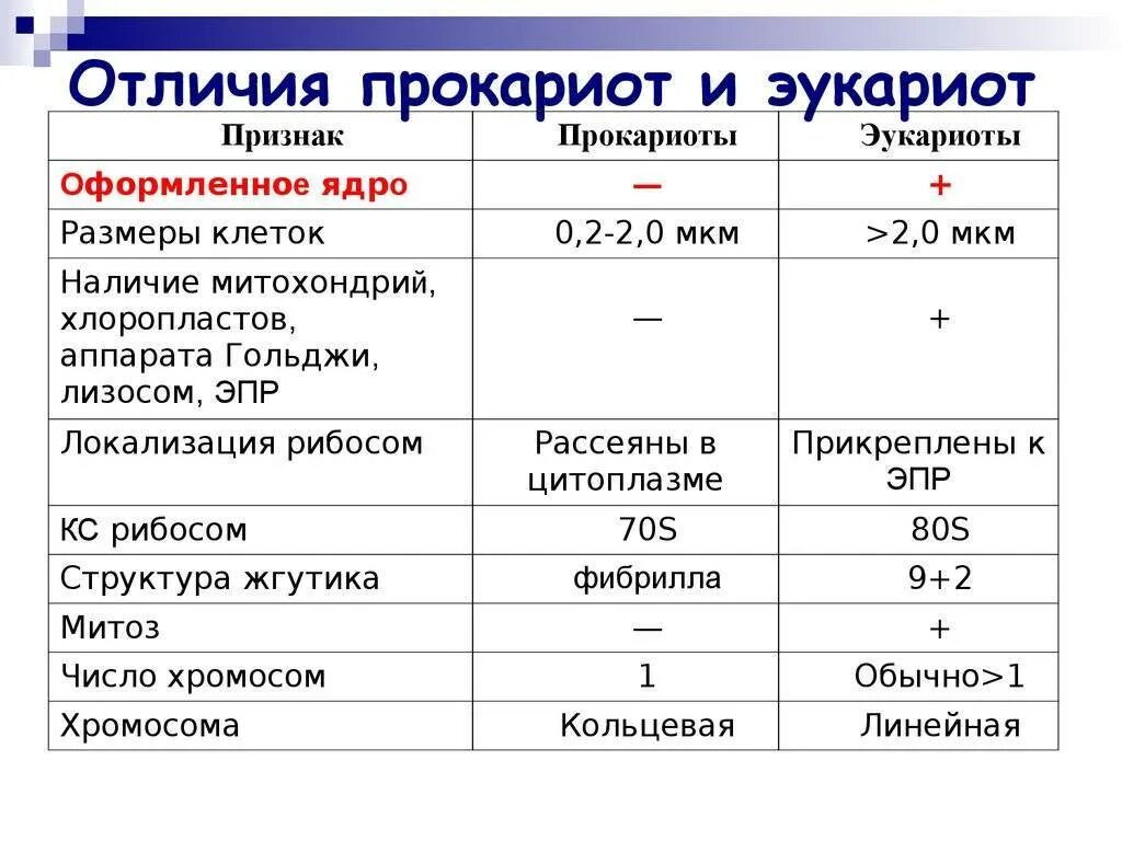 Эукариоты отличия. Отличие прокариот от эукариот. Отличие прокариот от эукариот таблица. Отличие клетки эукариот от прокариотических. Прокариот и эукариот отличия и сходства таблица.