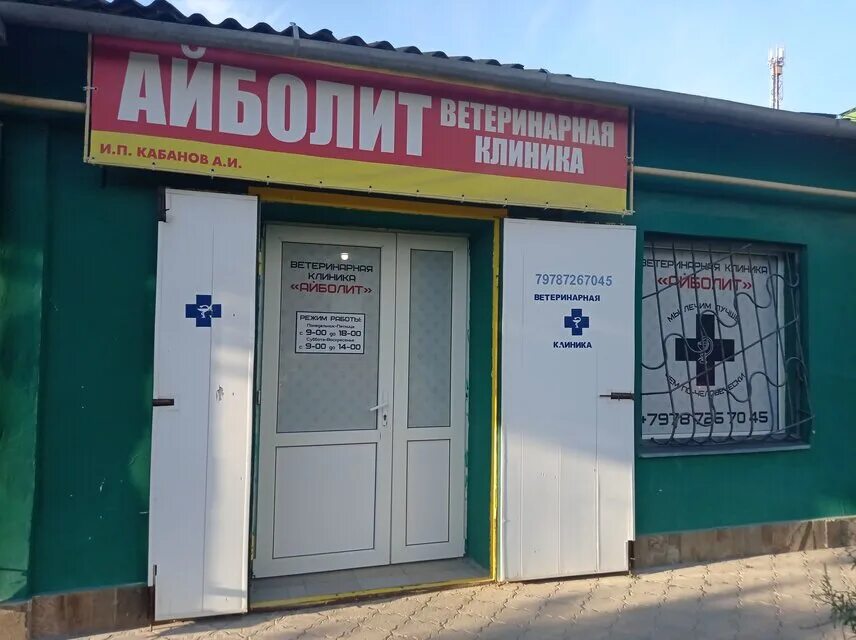 Первомайская 60 пятигорск. Айболит пятигорск первомайская улица. Пятигорск улица первомайская 89. Айболит пятигорск первомайская ул. Пятигорск, первомайская улица, 81щ.