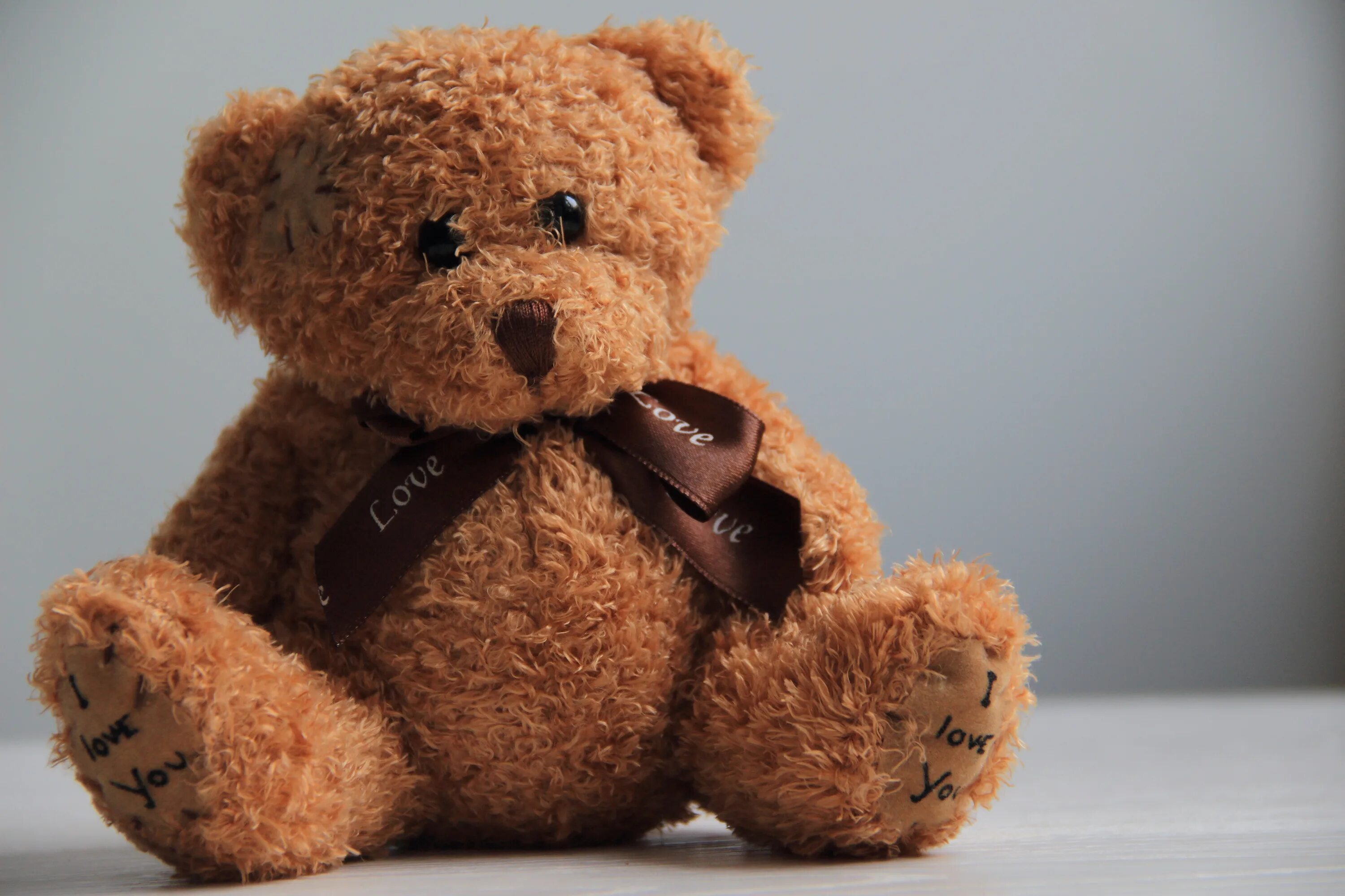Тедди Беар. Медвежонок Тедди Беар. Тедди Беар игрушка. Плюшевый мишка коричневый.