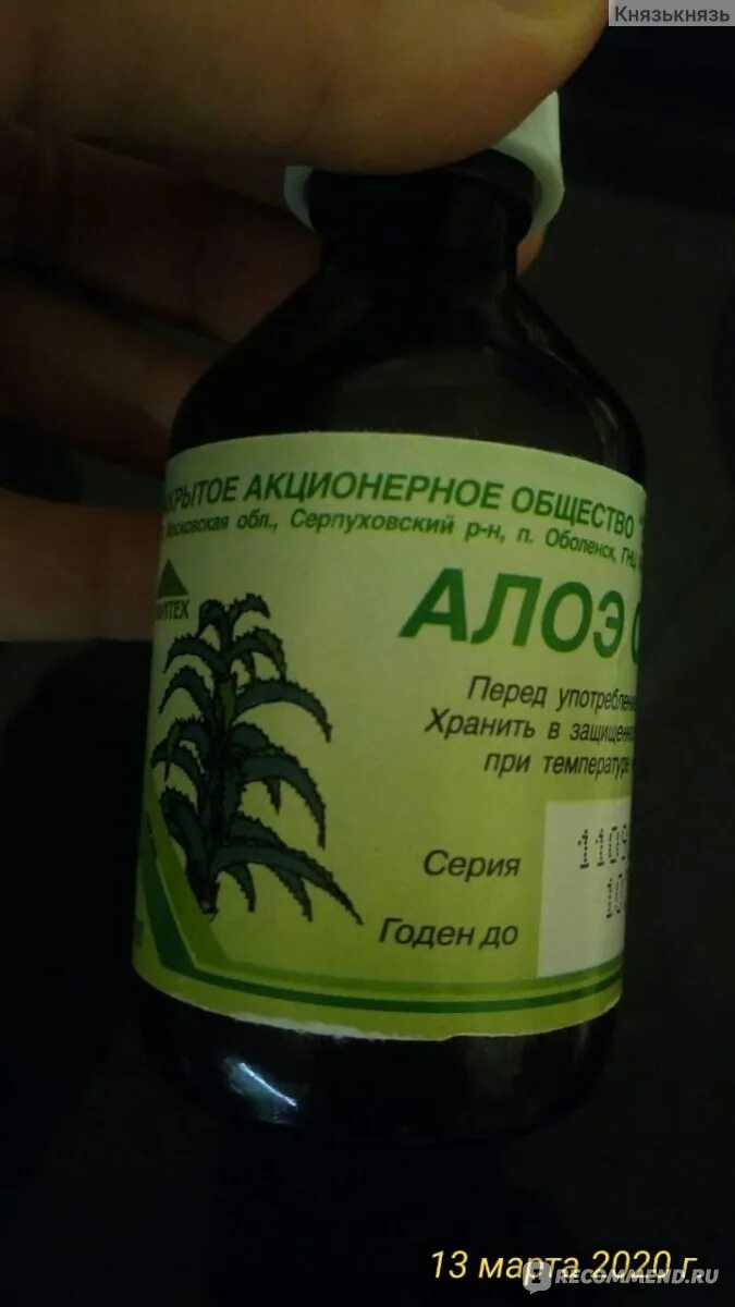 Как капать алоэ в нос. Сок алоэ в нос. Алоэ от насморка. Капли в нос из сока алоэ. Промывание носа соком алоэ.