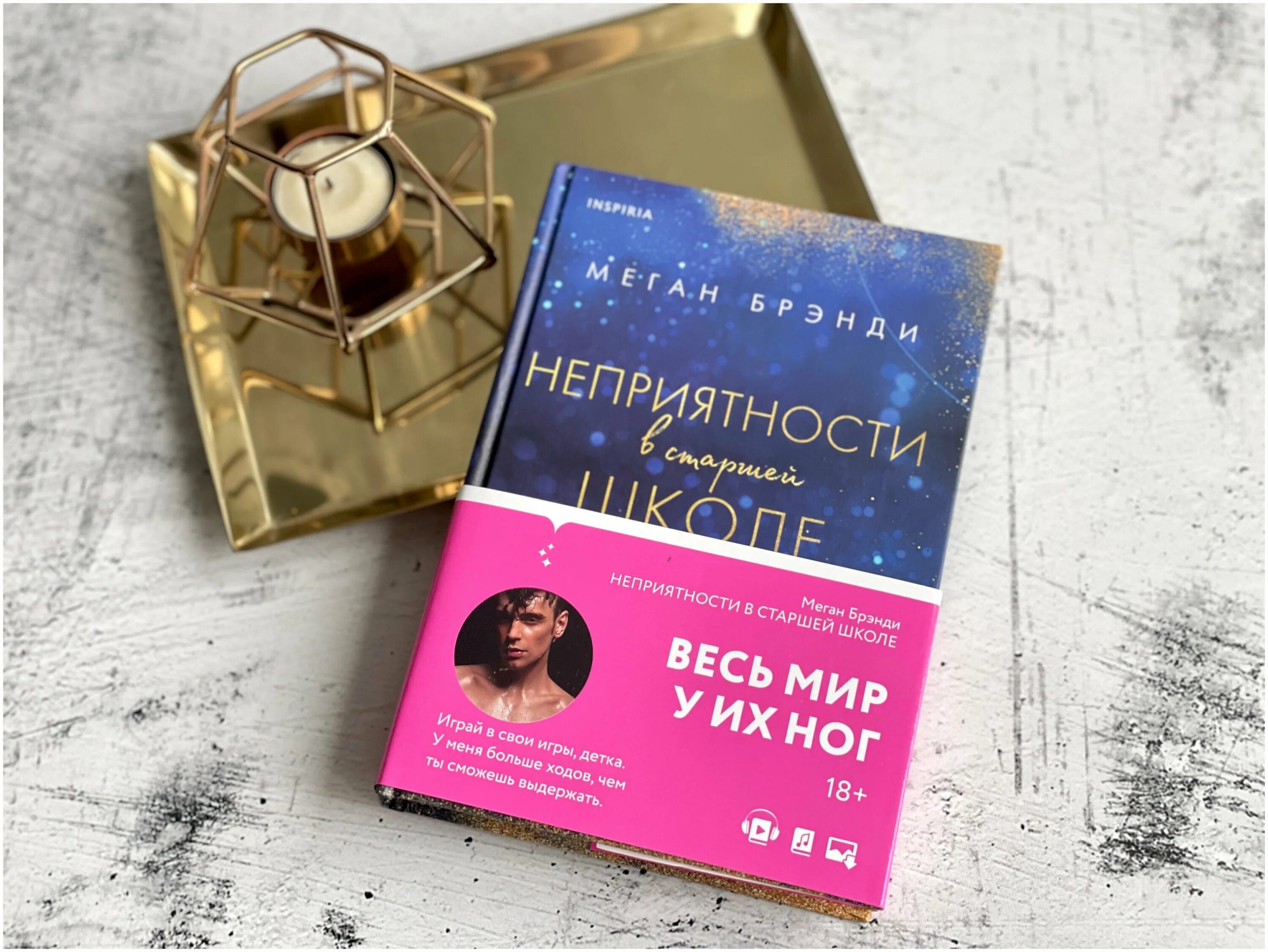 меган бренди неприятности в старшей. неприятности в старшей школе читать онлайн бесплатно. книга парни из старшрй школу. парни из старшей школы меган бренди книга. короли старшей школы книга.