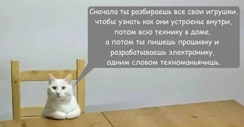Кот мем есть