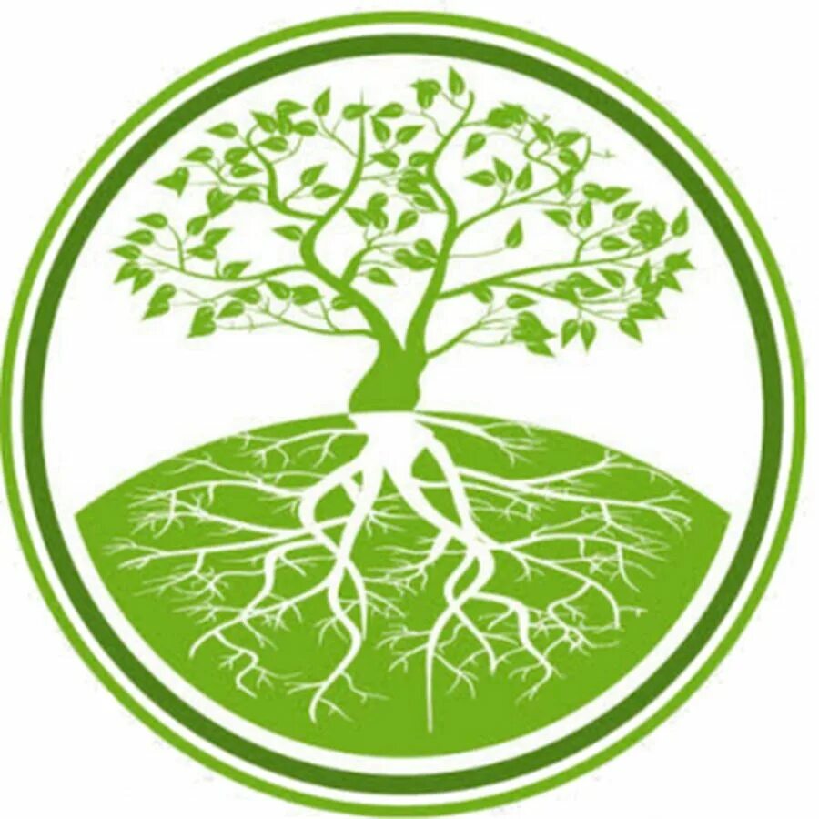 Древо иконка. Symbols tree. Дерево в круге трафарет. Символ дерева на прозрачном фоне. Древо жизни иггдрасиль символ.