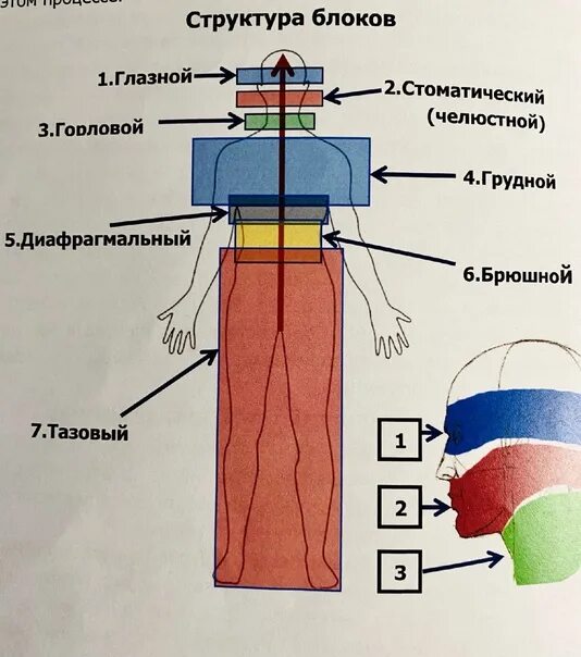Как снимать телесные блоки ГРУДНОЙ БЛОК Наша сердечная чакра ♥ Зона нелюбви. Человек делает выбор любить