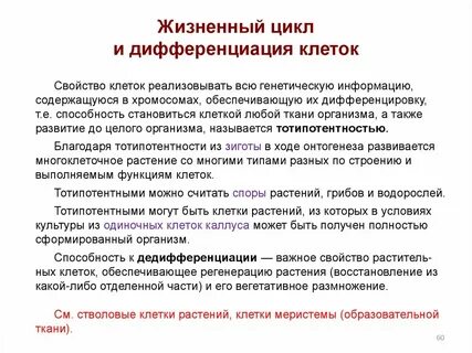 Жизненные свойства