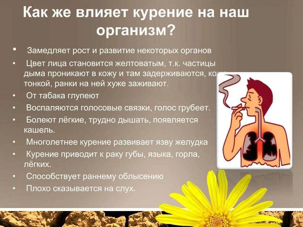 Как влияет табачный. Влияние курения на организм. влияет ли курение на рост. никотин влияет на рост. воздействие курения на организм.