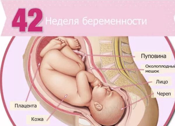 39 недель 2 дня