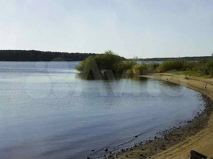 Участки на рыбинском. Кременево Рыбинское водохранилище. Рыбинское водохранилище судоверфь. Пошехонье Ярославская область Рыбинское водохранилище. Рыбинское водохранилище Пошехонье.