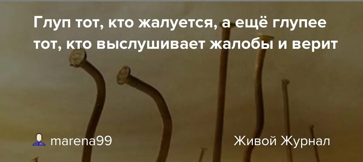 Кто жалуется. Про тех кто жалуется. Тот кто жалуется тот. Глуп тот. Глупый возможно