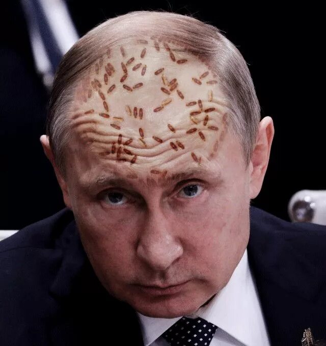 Крайне противный скверный. Крайне противный скверный. Крайне противный скверный. Крайне противный скверный. Крайне противный скверный.