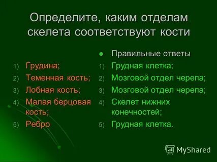 Костя как правильно