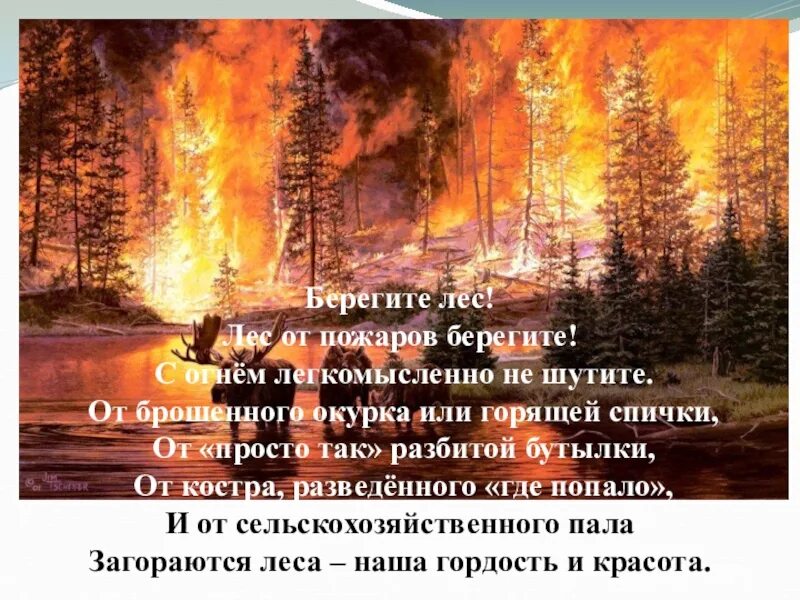 Почему так много пожаров