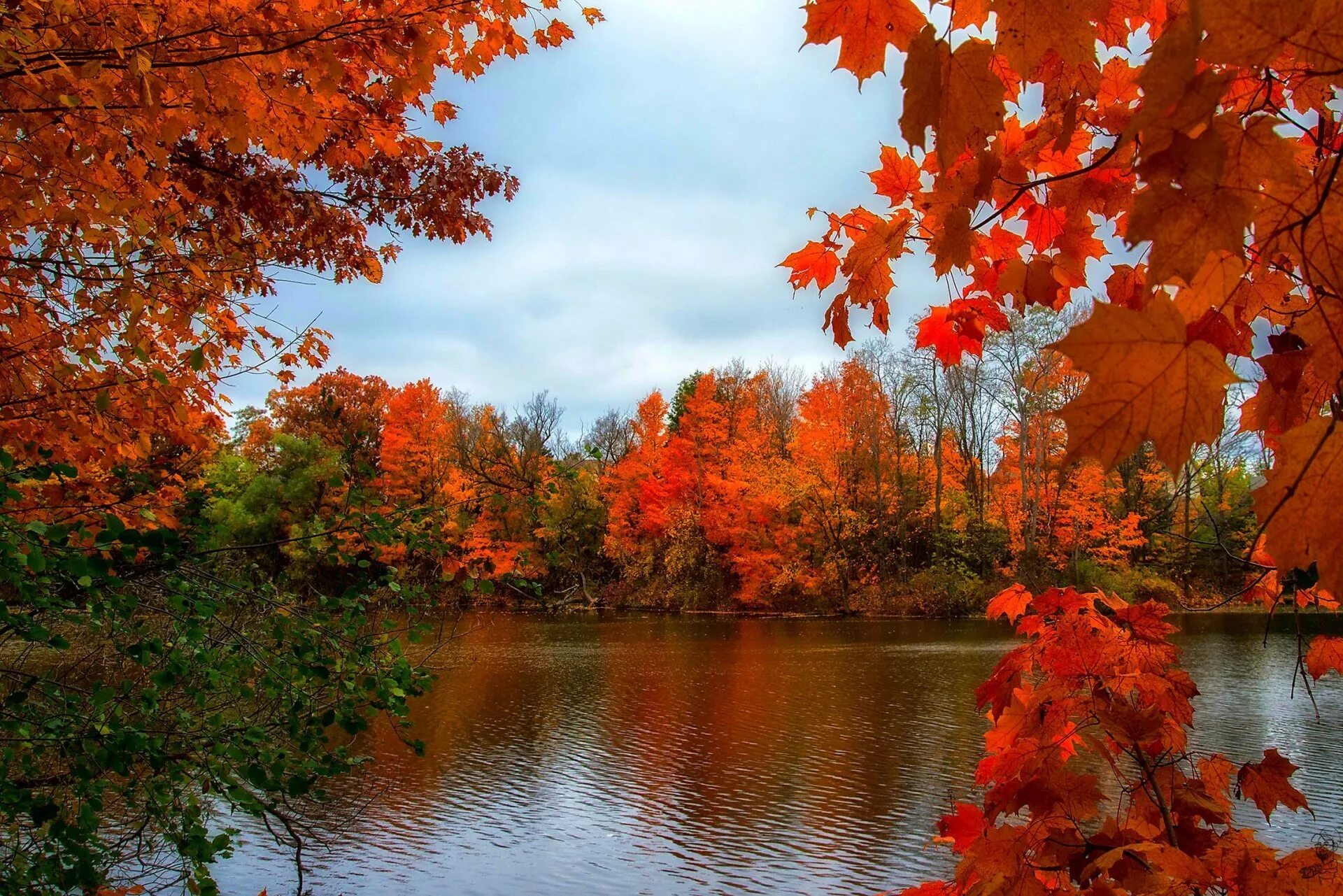 Осень. Красивая осень. Природа осень. Осенот.