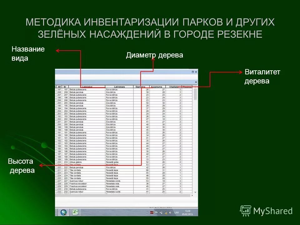Методика зеленых насаждений. Оценка состояния зеленых насаждений города. Паспортизация зеленых насаждений. Методика зеленых насаждений. Методика зеленых насаждений.
