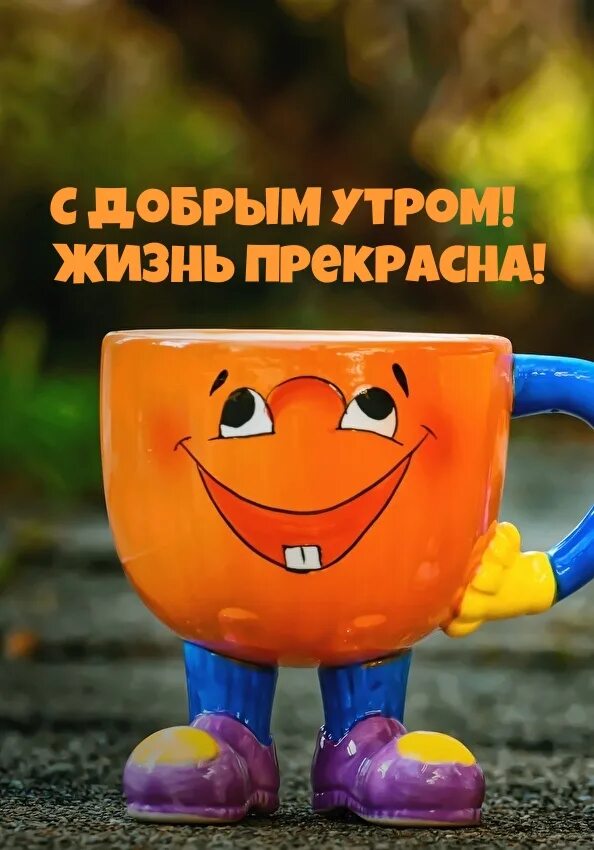 Доброе придоброе. Доброе утро позитивные необычные. доброго утра прикольные необычные. с добрым утречком прикольные необычные. доброе утро хорошего дня прикольные необычные.
