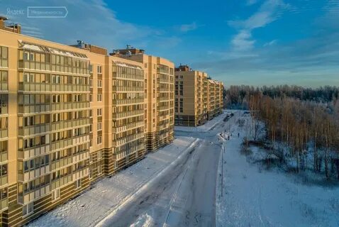 Курортный на песочном спб