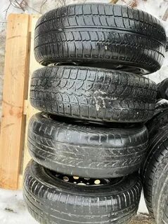 Тик 14
