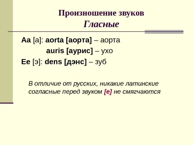 Произнести звуки в обратном порядке. Произношение звуков в латыни. Латынь фонетика. Произношение гласных в латинском языке. Звук я в латинском языке.