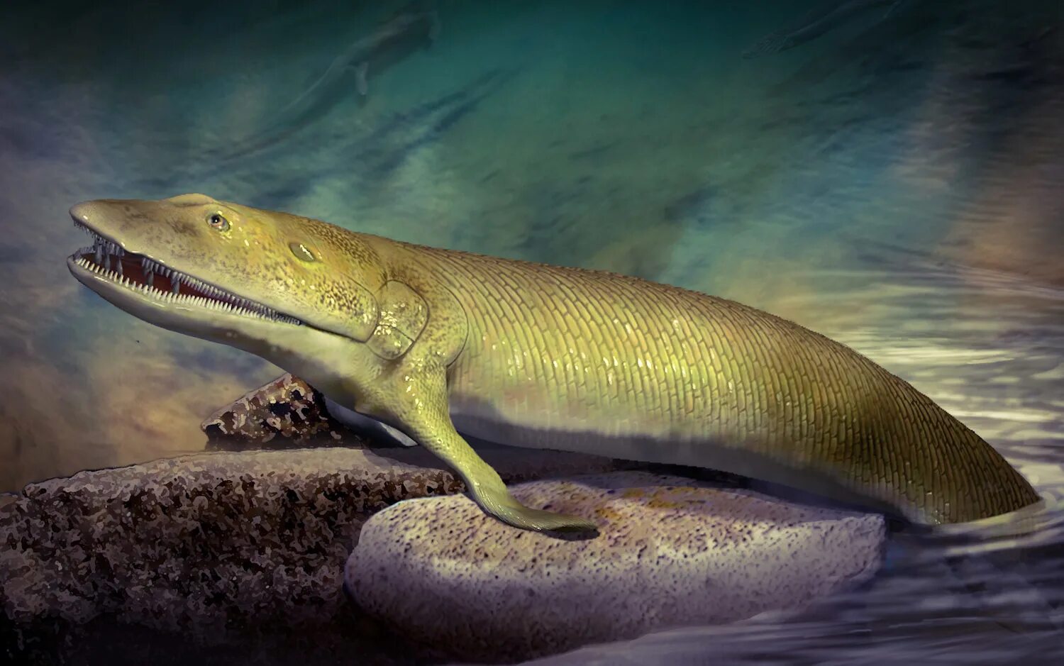 Древние акулы. Панцирная рыба эпохи динозавров. Генерия. Myllokunmingia и haikouichthys. Девонскинский период палеозойской эры.