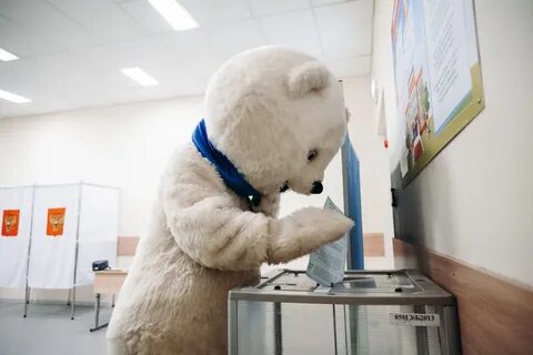 Приходил мишка