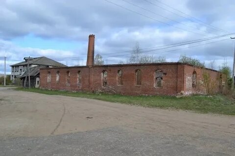 Красный луч бежаницкий