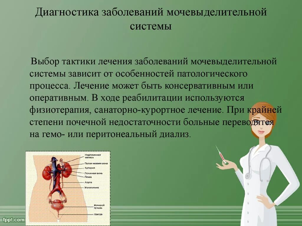 Заболевания мочевыделительной системы. Профилактика заболеваний мочевыделительной системы. Исследования при заболеваниях мочевыделительной системы. Рекомендации пациенту с заболеванием мочевыделительной системы.