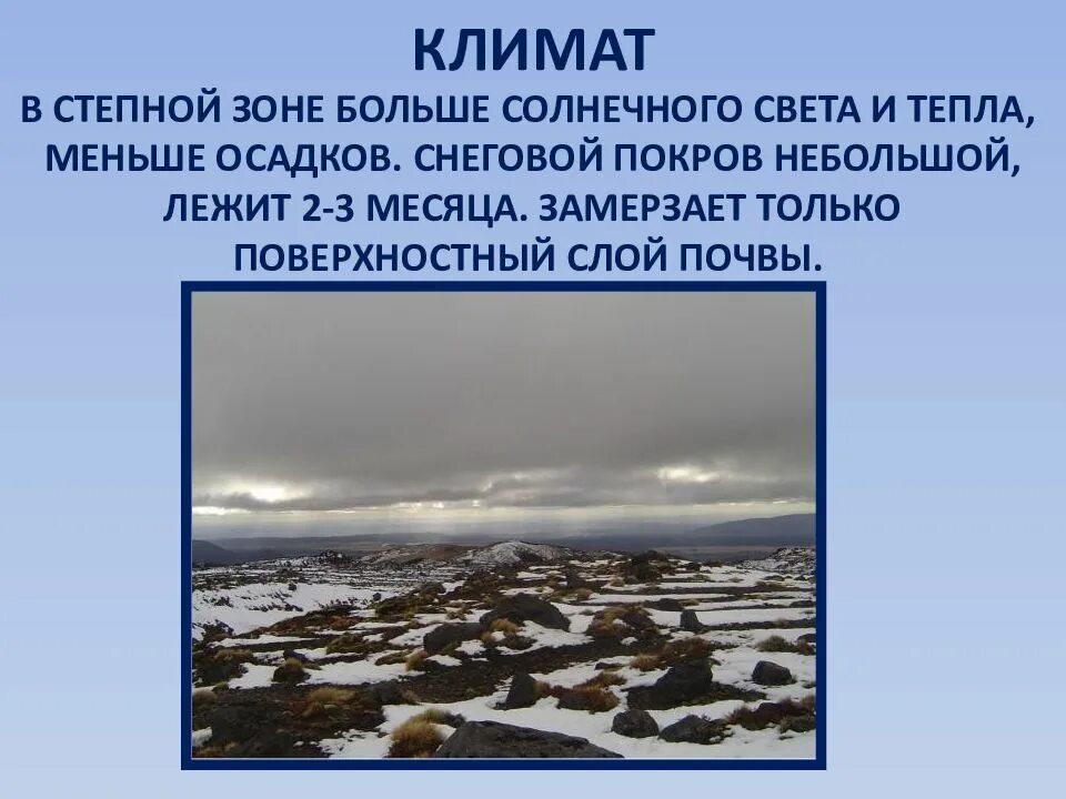 Тип климата в степи. Климат степи. степной климат. природно климатические условия степи. климатические условия зоны степей.