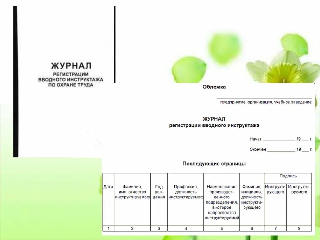 Охрана труда виды инструктажей. Виды инструктажей по охране труда. Сроки проведения вводного инструктажа. Виды проведения инструктажей по охране труда.