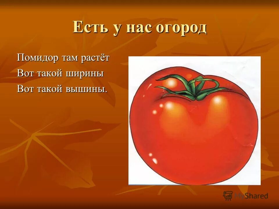 Помидор имя прилагательное подобрать. Загадка про помидор. Стишок про помидор. Стихотворение про помидор. Помидг загадка для детей.