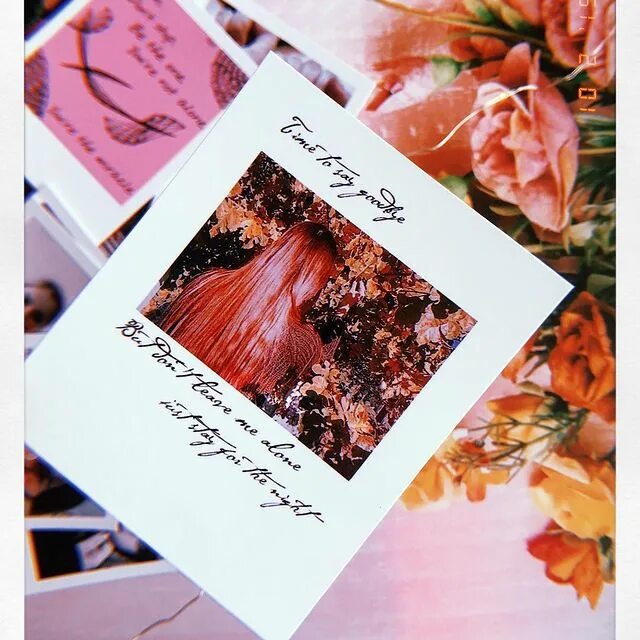 стили фотографий с эффектом полароид. приложение с эффектом полароид. саманта кениг полароид. полароид моментальные снимки с экраном. полароид 366.