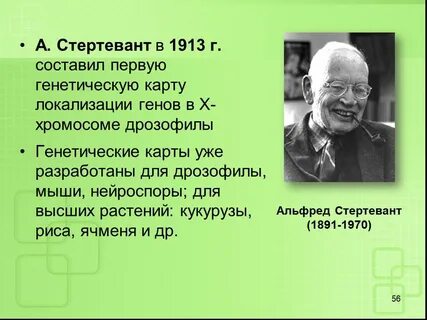 Первый генетик