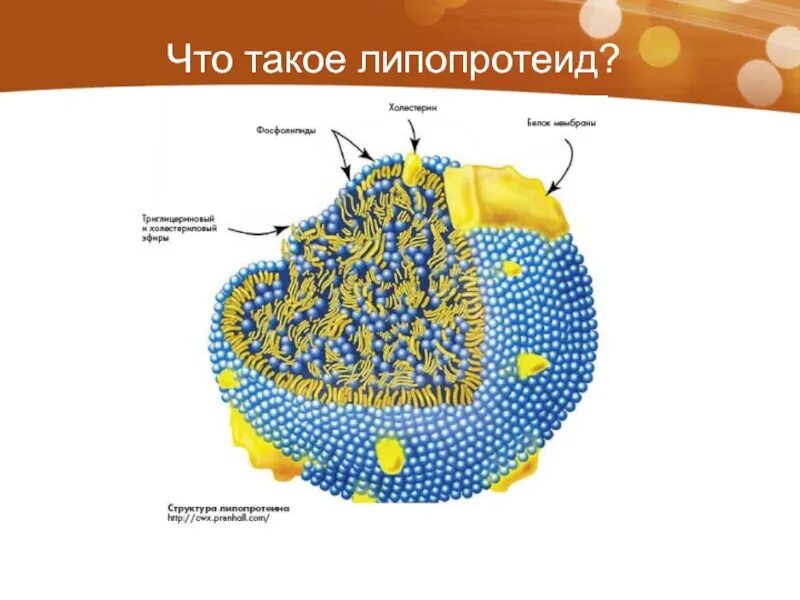 Лпвп альфа повышены. Липопротеиды это. Липопротеиды фото. Липопротеиды формула. ЛПВП строение.