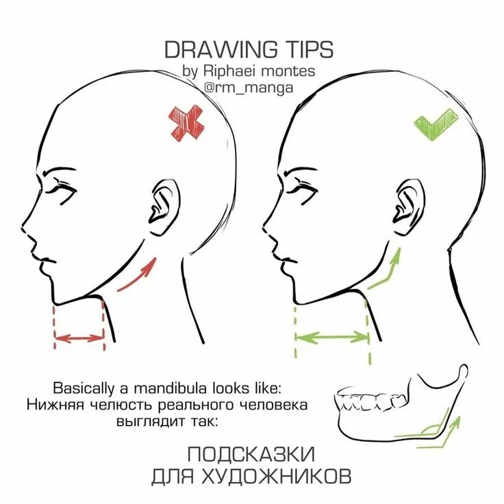 Draws tips