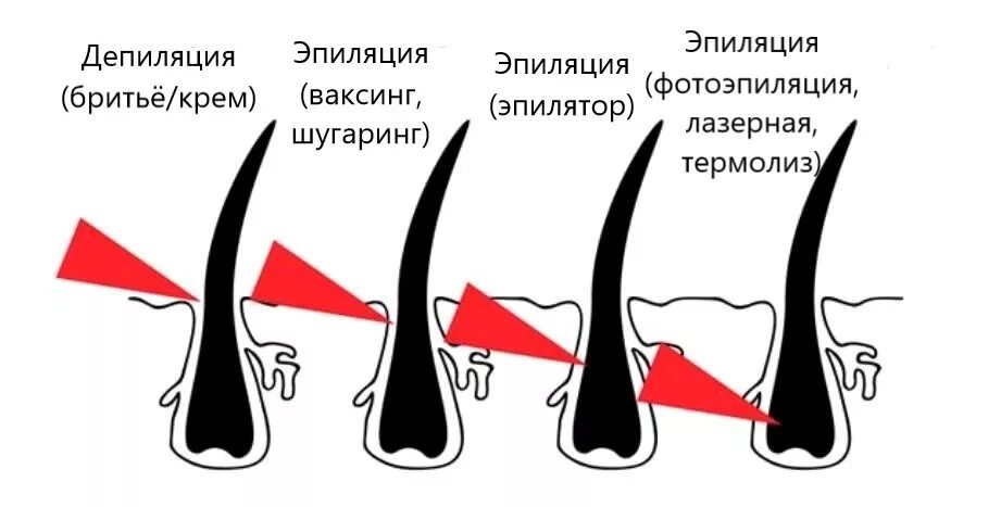 Депиляция и эпиляция разница. Эпиляция и депиляция в чем разница. Депиляция эпиляция отличия. Депиляция и эпиляция в чем различие. Депиляция воском против роста или по росту