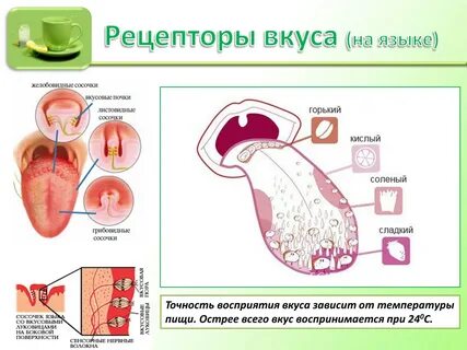 Солоно во рту причины