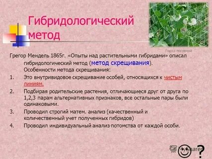 Гибридологический метод г менделя основан на