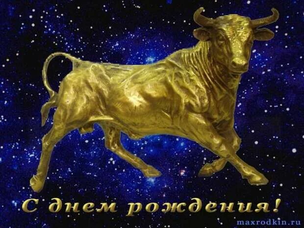 Поздравление с днем рождения тельцам. Телец. знак зодиака телец. с днем рождения тельца. с днём рождения мужчине тельцу.